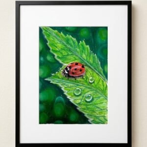 Lady Bug on the leaf
